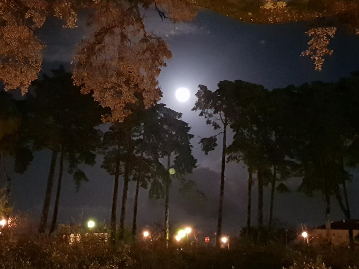 Casa Dos Tios Otel Fátima Dış mekan fotoğraf